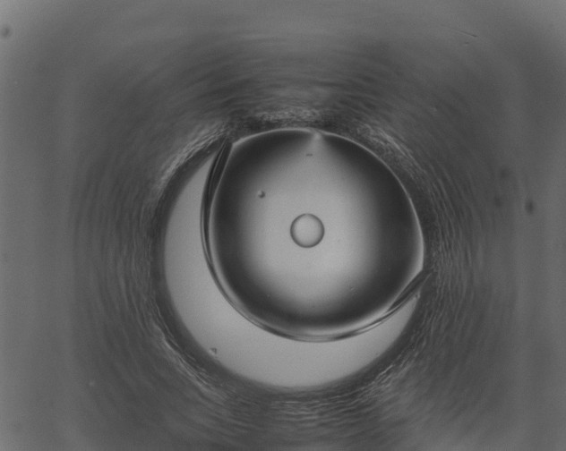 X0000066940735200603311416