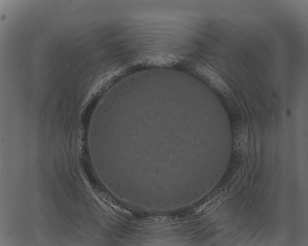 X0000066940736200603311416