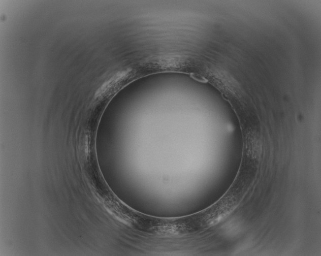 X0000066940740200603311416