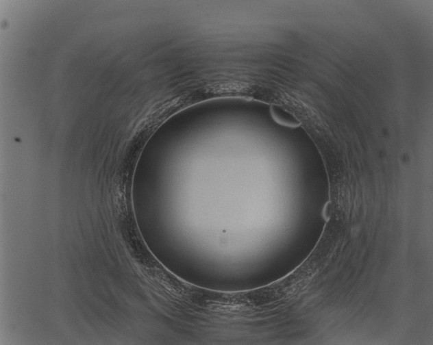 X0000066940743200603311416