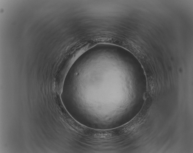 X0000066940745200603311417