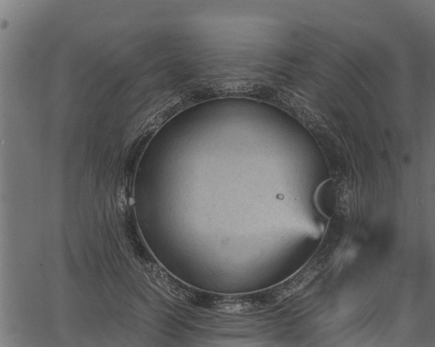 X0000066940746200603311417