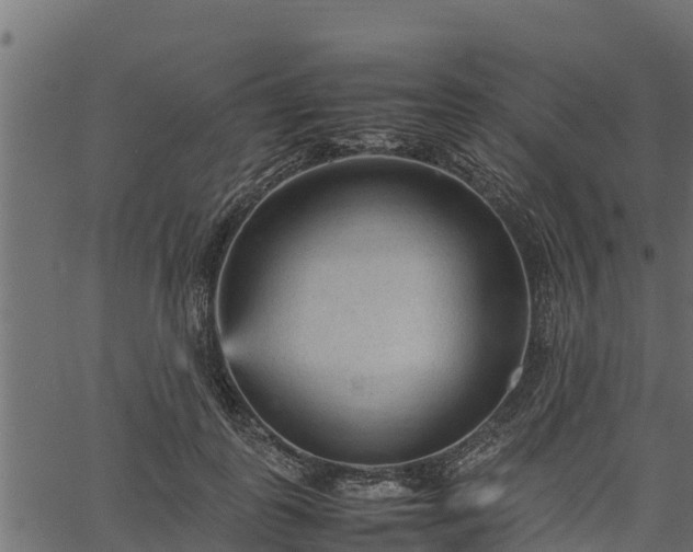 X0000066940747200603311417