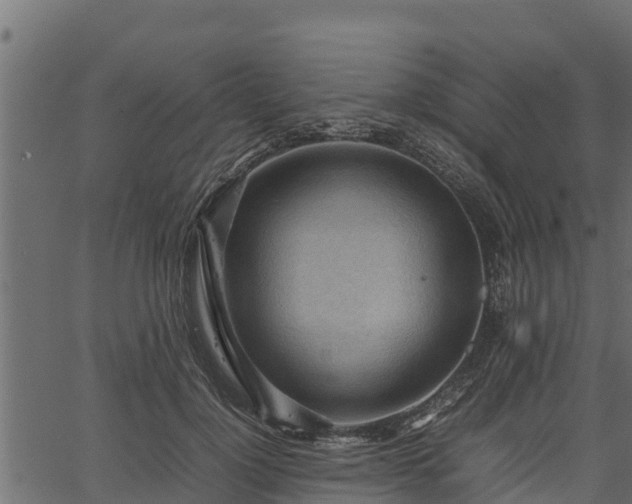 X0000066940748200603311417