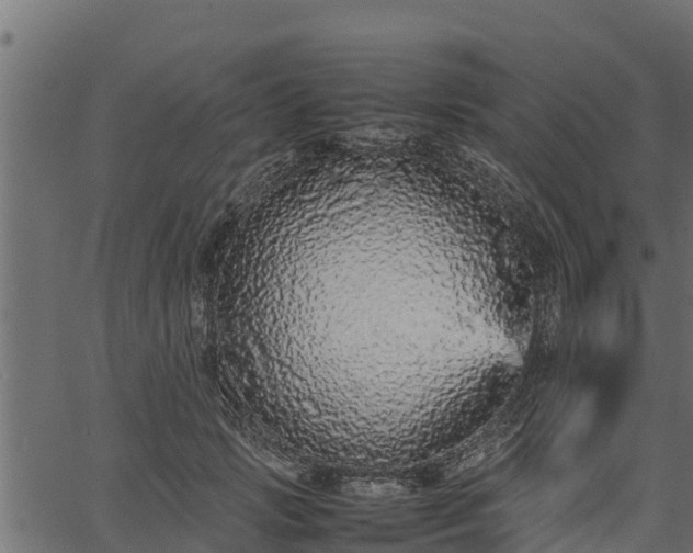 X0000066940749200603311417