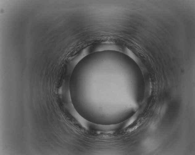 X0000066940750200603311417