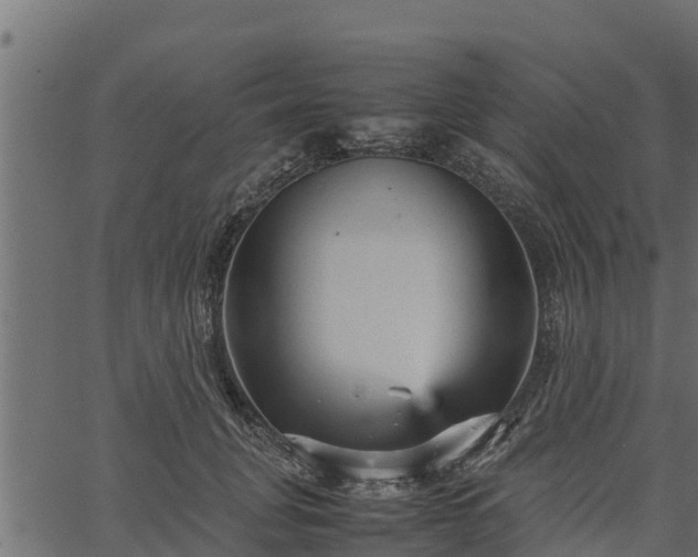 X0000066940751200603311417