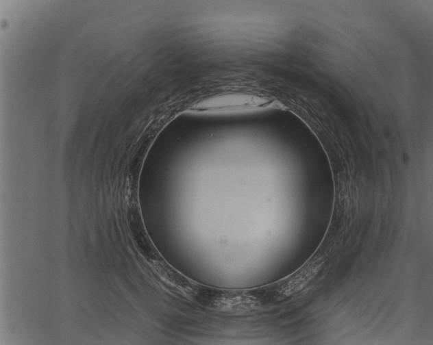 X0000066940752200603311417