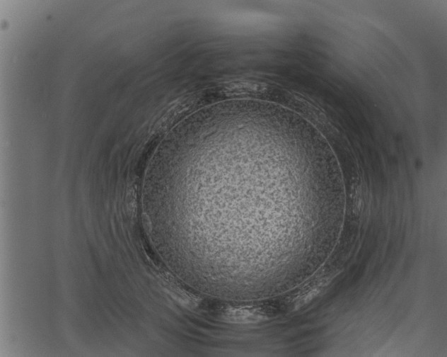 X0000066940753200603311417