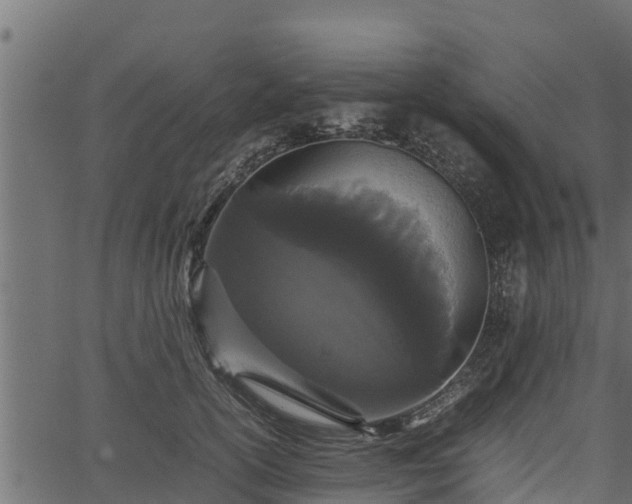 X0000066940754200603311417