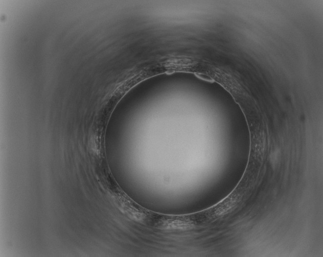 X0000066940755200603311417