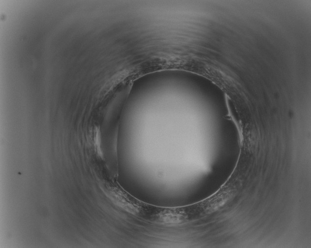 X0000066940756200603311417