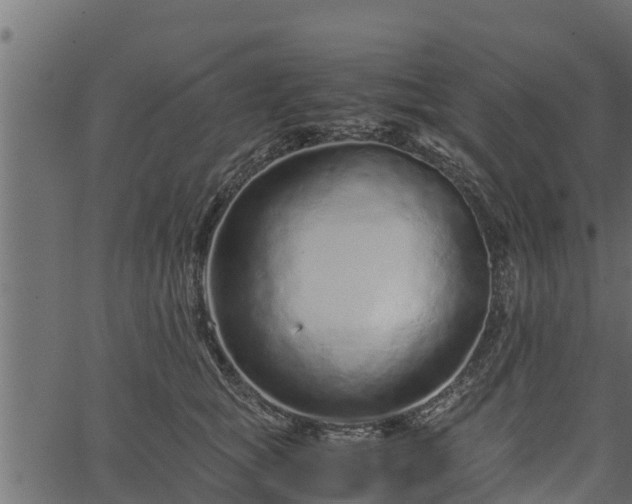 X0000066940757200603311417