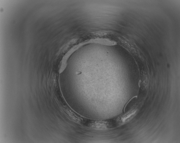 X0000066940758200603311417