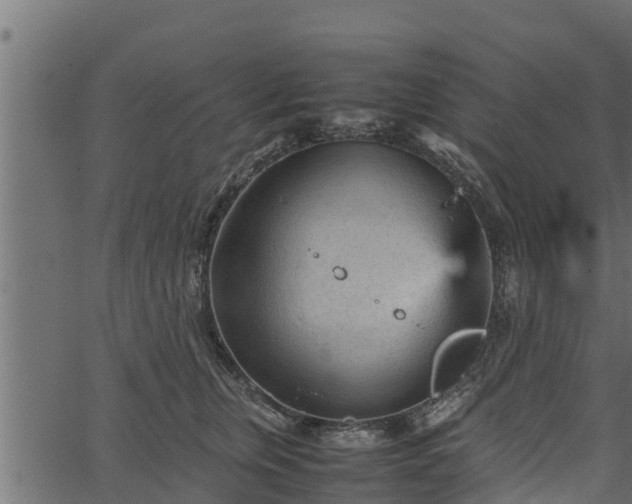 X0000066940759200603311417