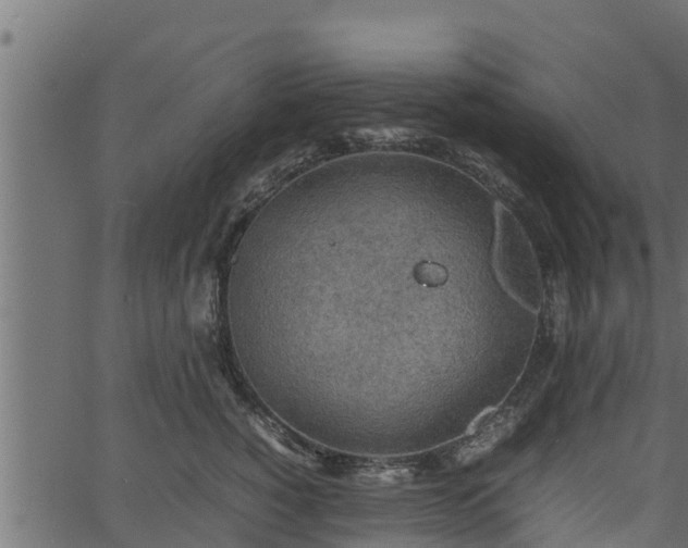 X0000066940760200603311417