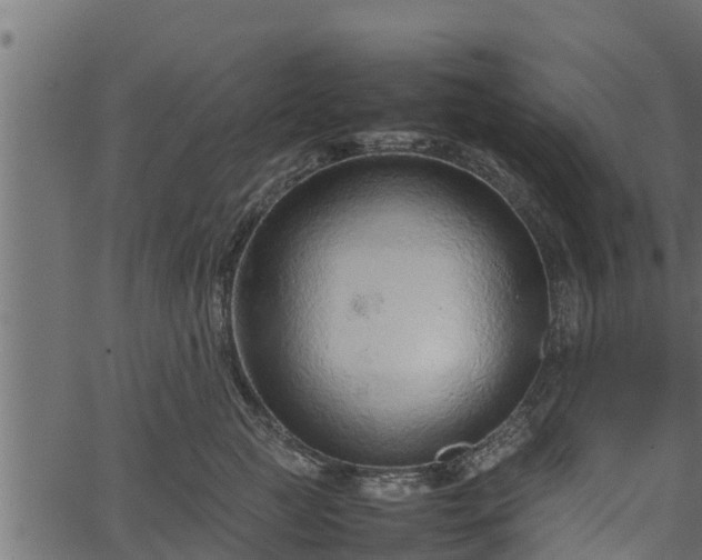 X0000066940761200603311417