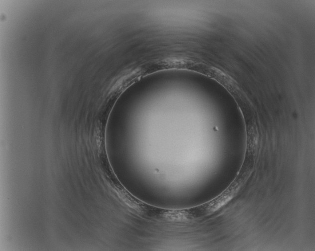 X0000066940762200603311417