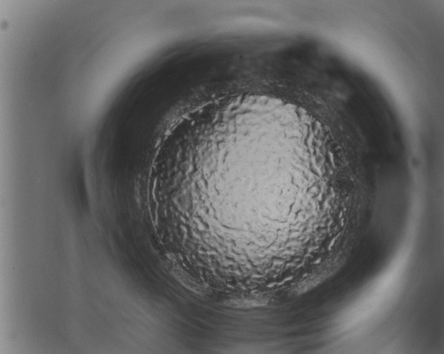 X0000066940765200603311417