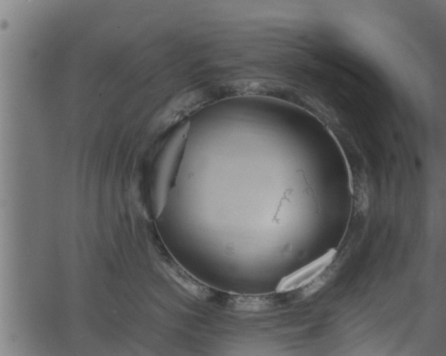 X0000066940766200603311417