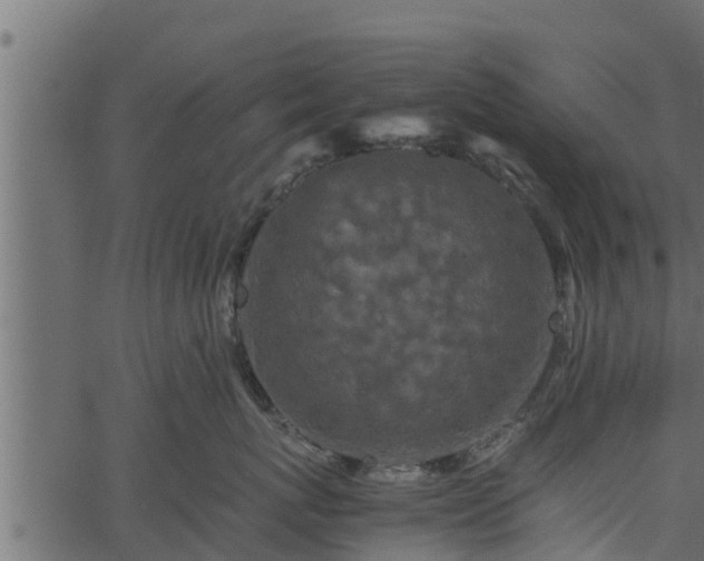 X0000066940767200603311417