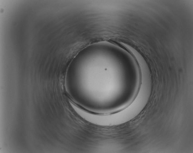 X0000066940768200603311417