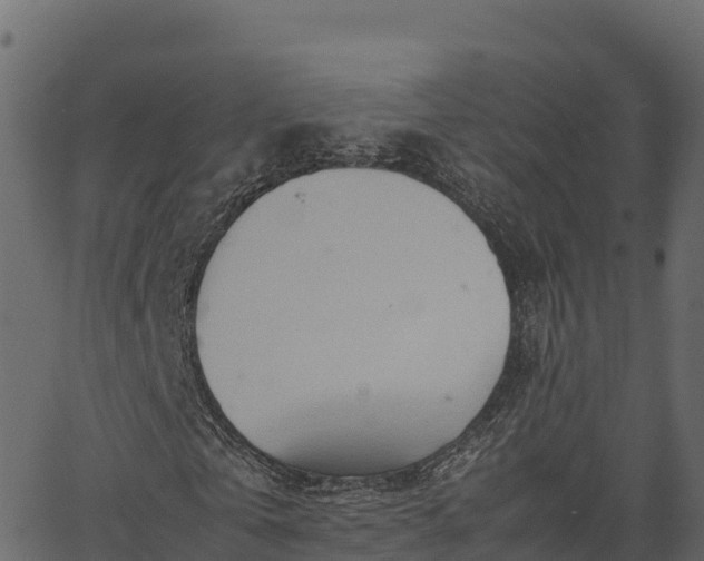 X0000066940769200603311416