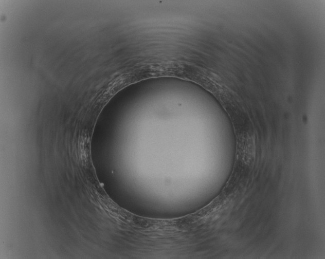 X0000066940770200603311416