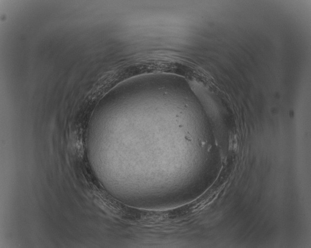 X0000066940771200603311416