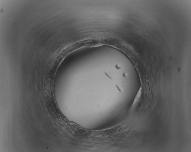 X0000066940773200603311416