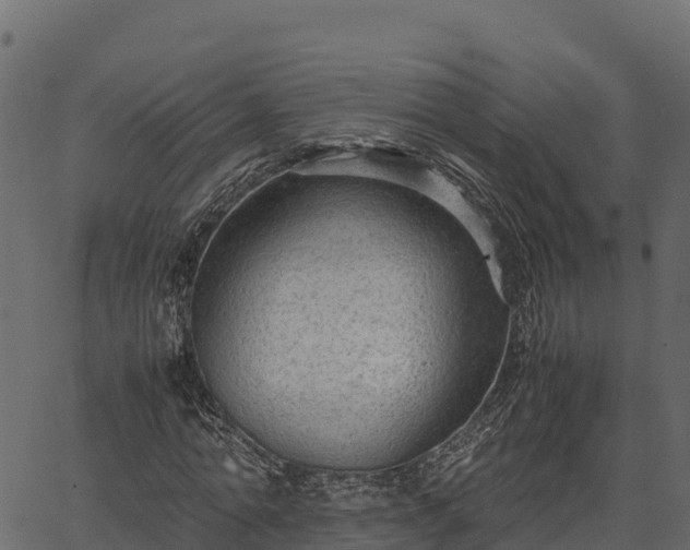 X0000066940774200603311416