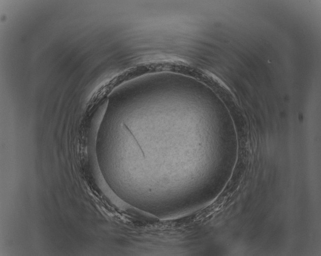 X0000066940775200603311416