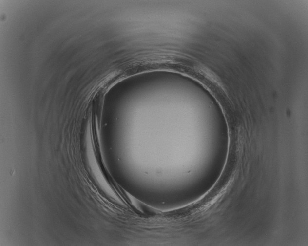 X0000066940777200603311416