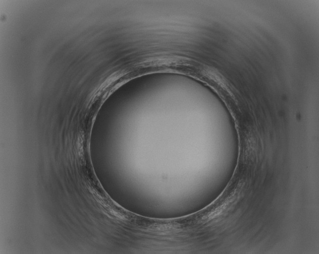 X0000066940778200603311416