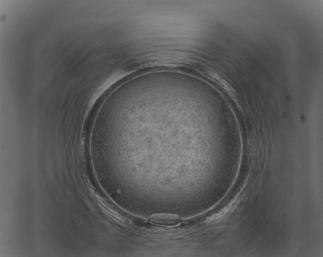 X0000066940779200603311416