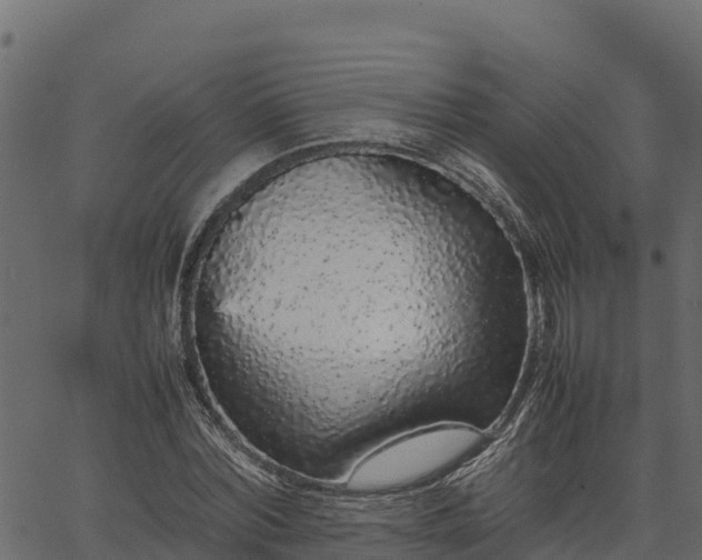 X0000066940780200603311416