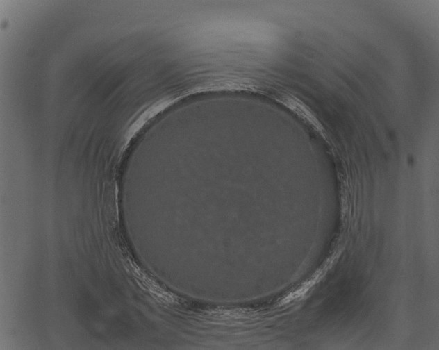 X0000066940781200603311416