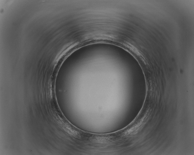 X0000066940782200603311416