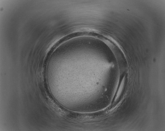 X0000066940783200603311416