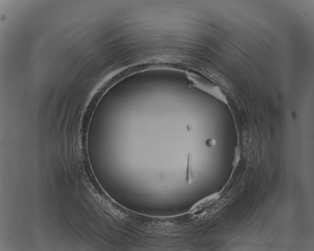 X0000066940784200603311416