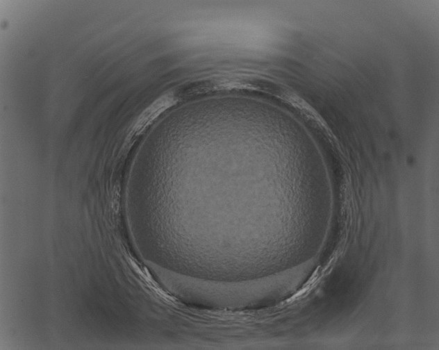 X0000066940785200603311416