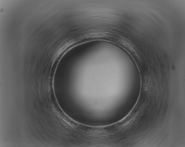 X0000066940786200603311416