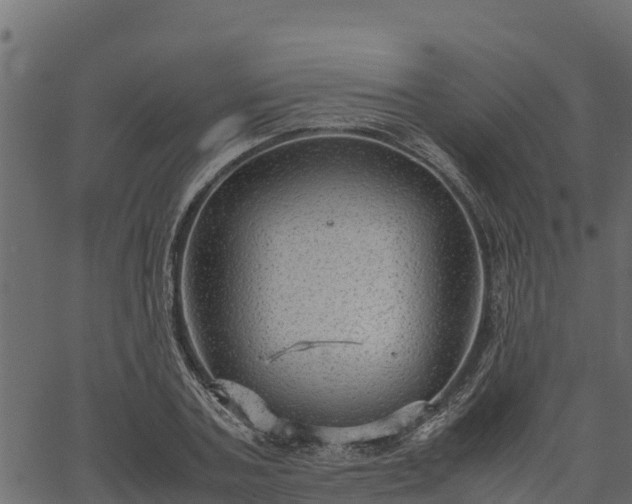 X0000066940787200603311416