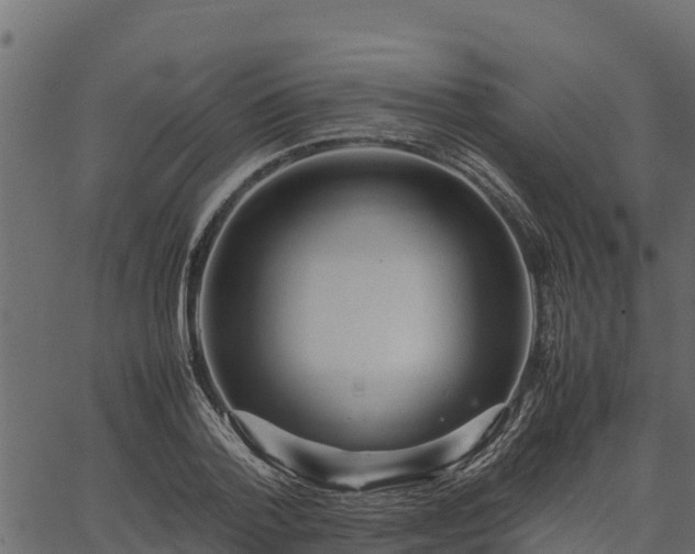 X0000066940788200603311416