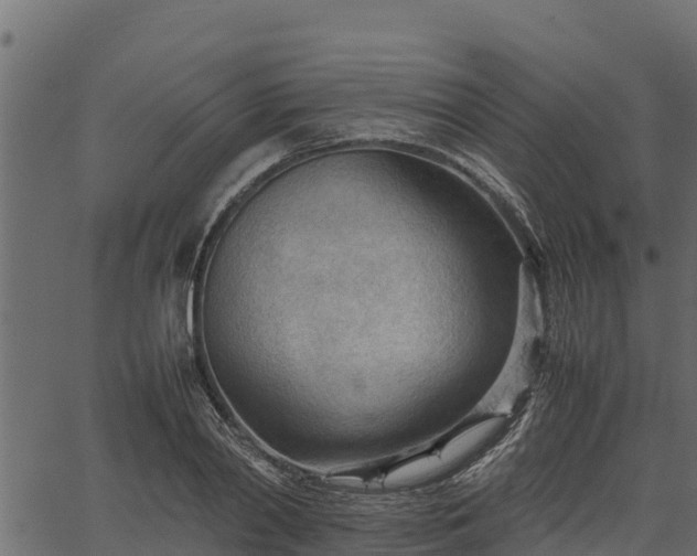 X0000066940790200603311416