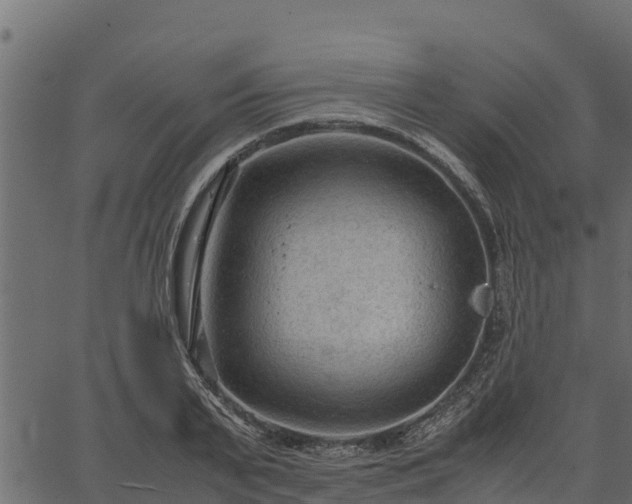 X0000066940791200603311416