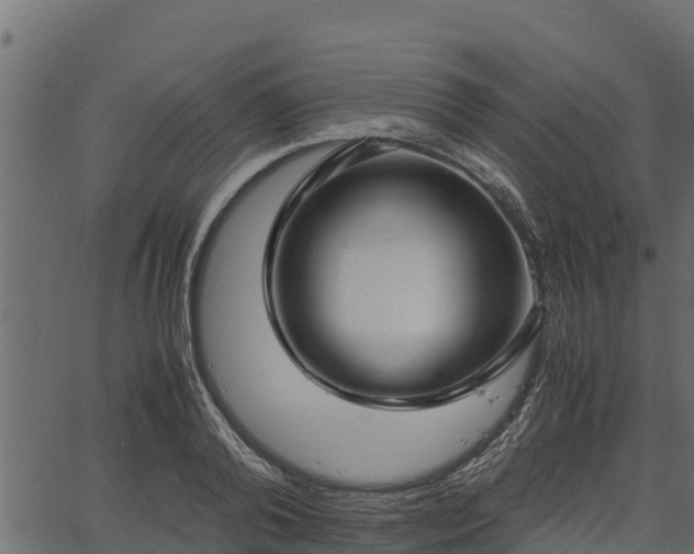 X0000066940792200603311416