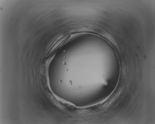 X0000066940793200603311416