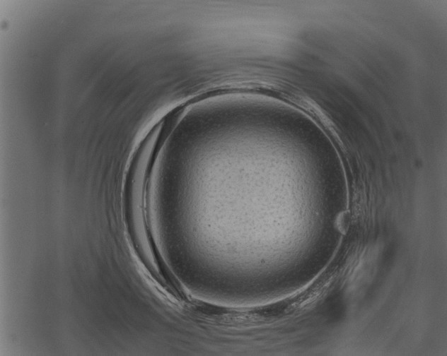 X0000066940795200603311416