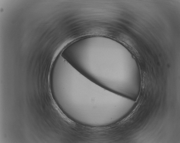 X0000066940796200603311416